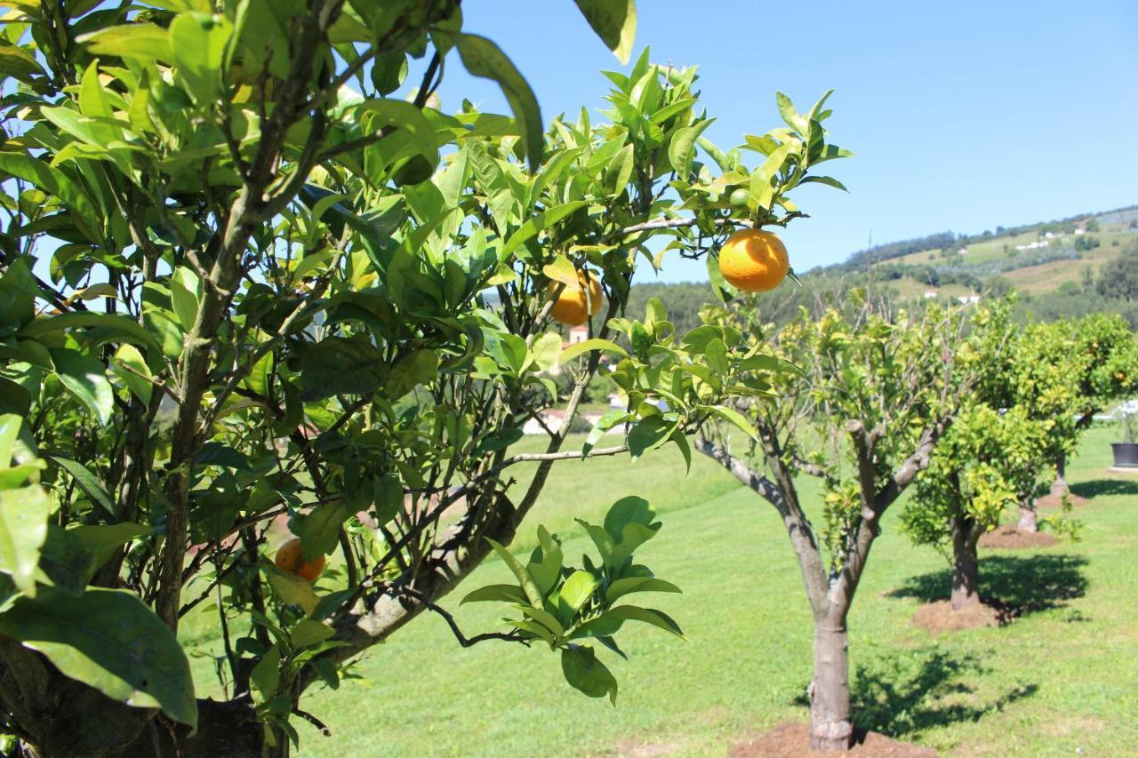 Posada El Campo Secadura Εξωτερικό φωτογραφία